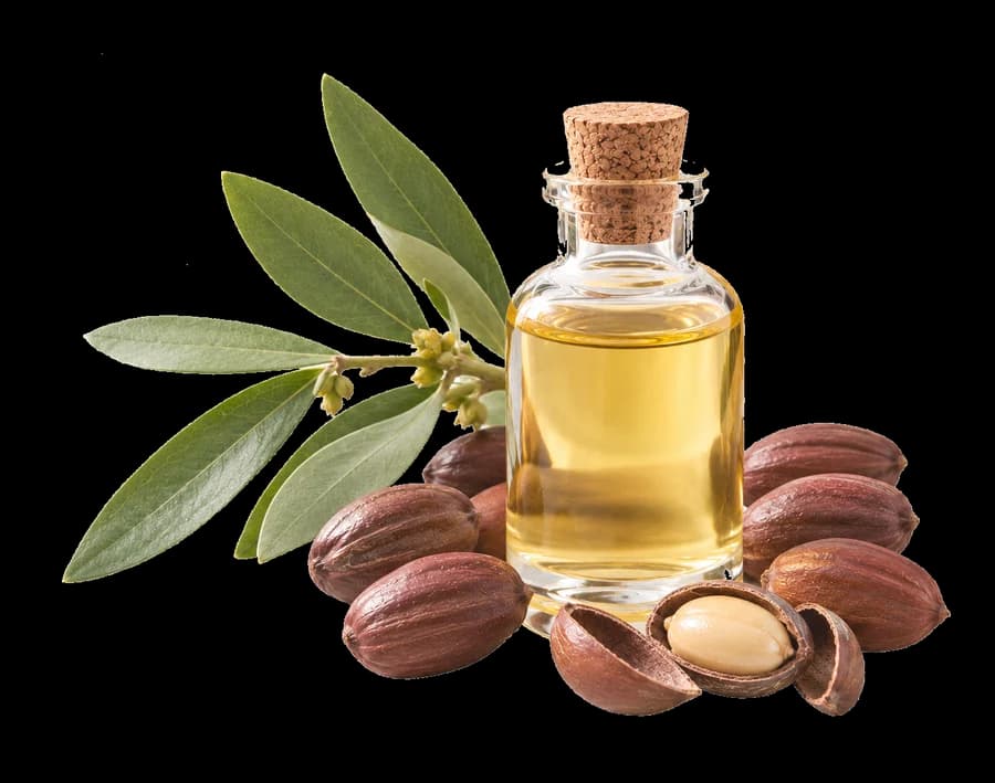 Golden jojoba oil in an amber bottle, surrounded by jojoba seeds