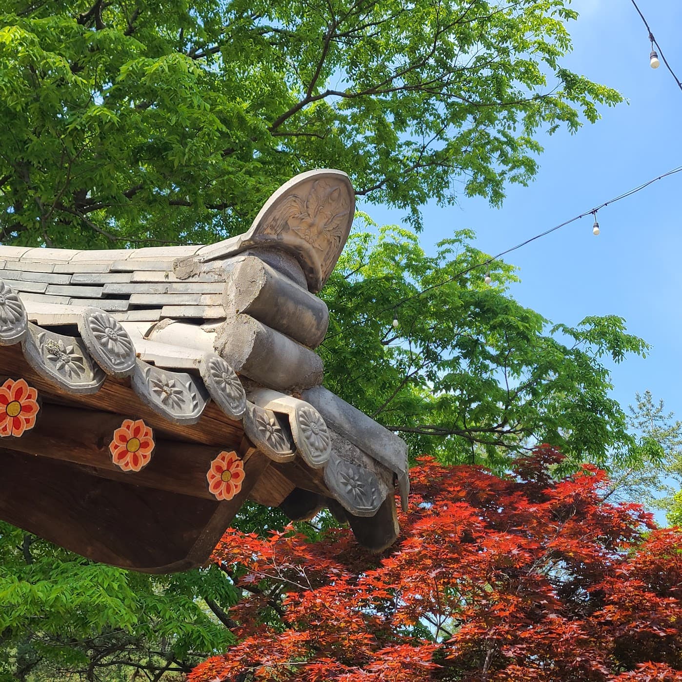 The tiled eave of a hanok roof, painted flower motifs along the beam, red maple and blue sky behind